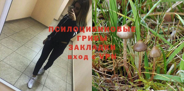 прущие грибы Струнино