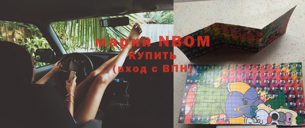 прущие грибы Струнино